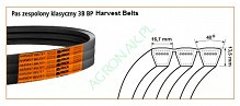 3B BP/H-4480  Pas Harvest Belts DF 01141591